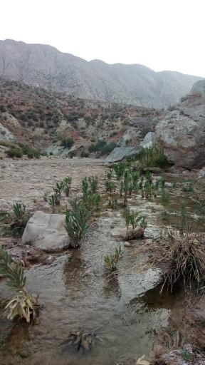 عکس رودخانه دراک