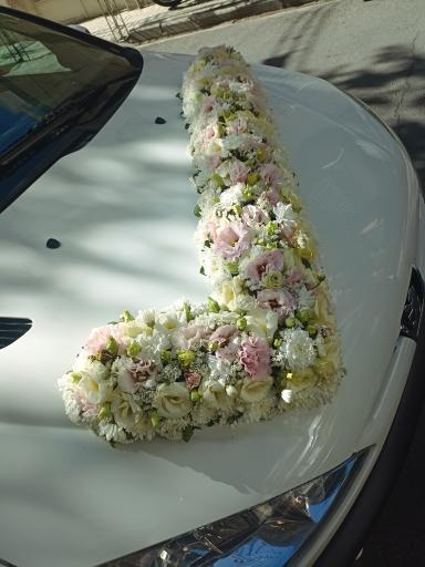 عکس گل آرایی مجید 