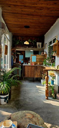 عکس دکان شبدر