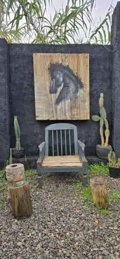 عکس دکان شبدر