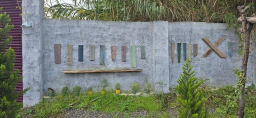 عکس دکان شبدر