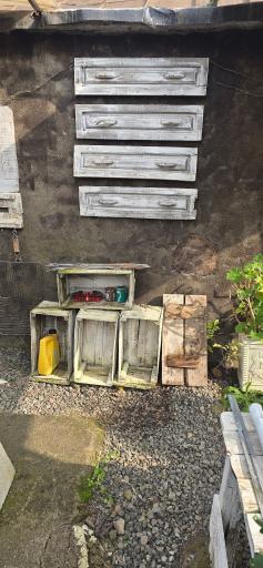 عکس دکان شبدر