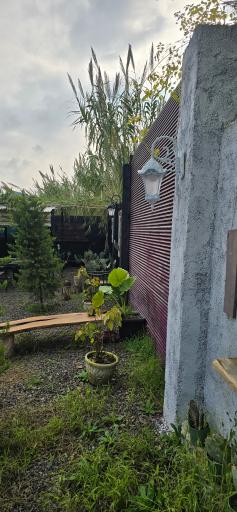 عکس دکان شبدر