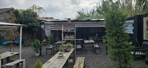 عکس دکان شبدر