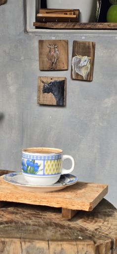 عکس دکان شبدر