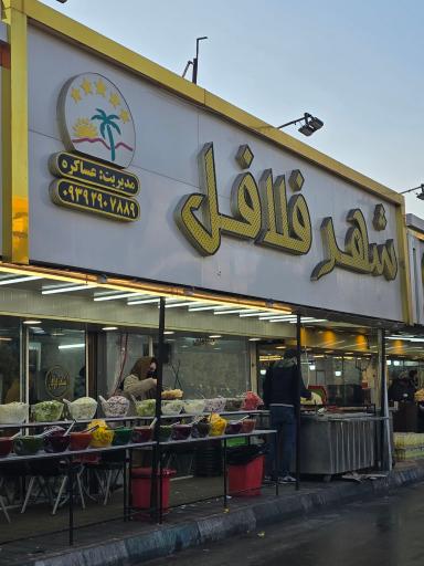 عکس شهر فلافل