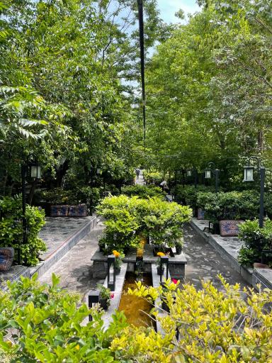 عکس رستوران لوتوس