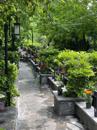 عکس رستوران لوتوس