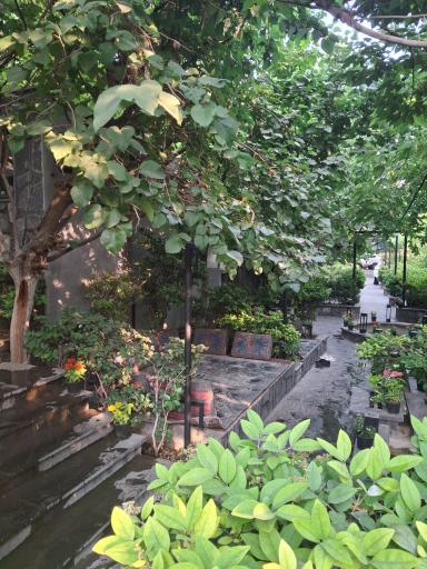 عکس رستوران لوتوس