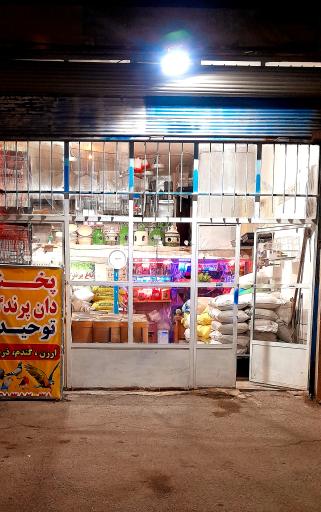 عکس باغ پرندگان مرتضی توحیدی