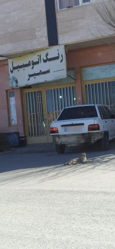 عکس مرکز تخصصی نانو سرامیک و رنگ اتومبیل سمیر