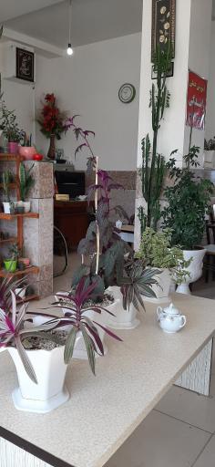 عکس آموزشگاه رانندگی فرهنگ ترافیک