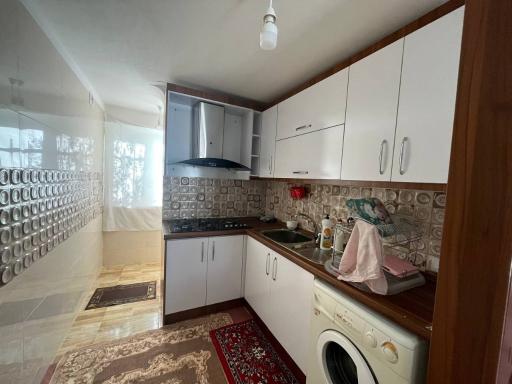 عکس بوم گردی نگین سبز