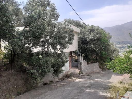 عکس بوم گردی نگین سبز