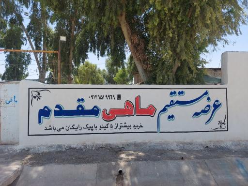 عکس مزرعه پرورش ماهی و اردک مقدم