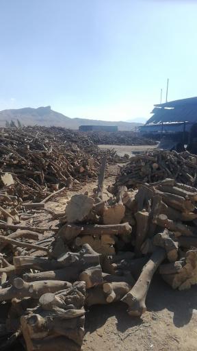 عکس ذغال ارگ و خرگ