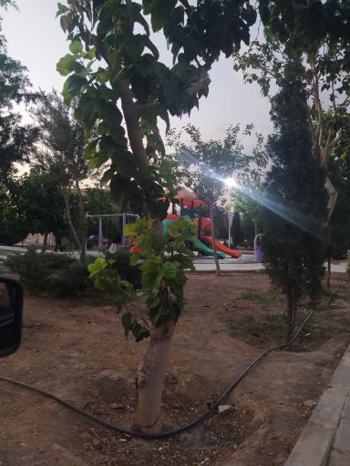 عکس بوستان ورزش