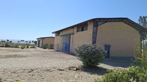 عکس تولید آی وود