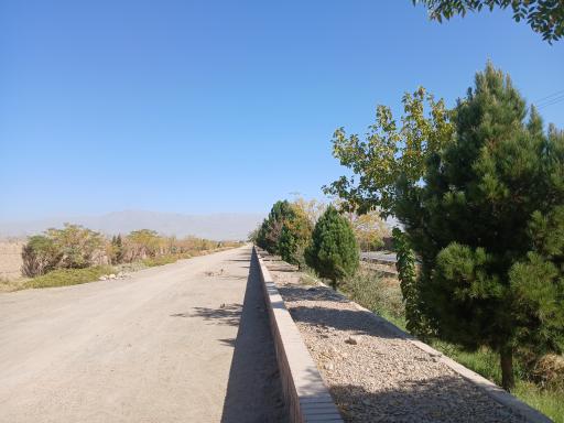عکس احمدآبادیلمقانی