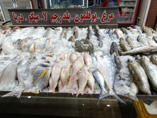 سوپر پروتئین 45 متری