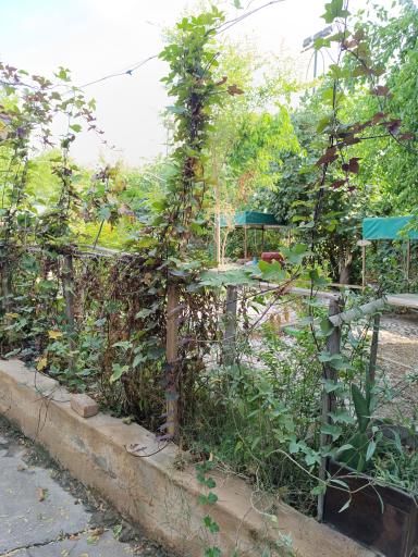 عکس درقاپی خانه کباب شوشتر