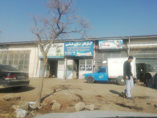 عکس گاردان سازی علی