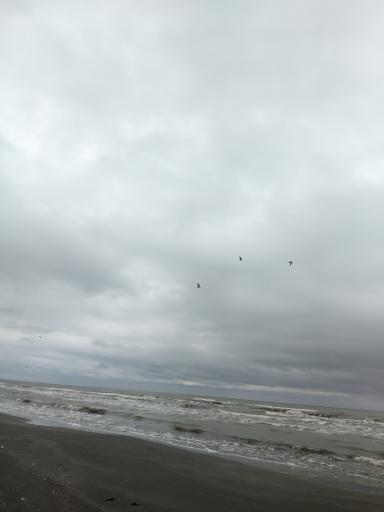 عکس پارک ساحلی پاسداران