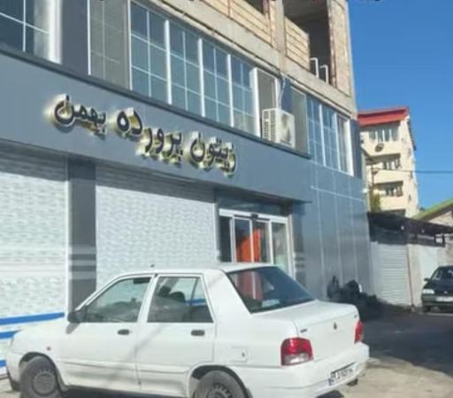 عکس زیتون پرورده بهمن 