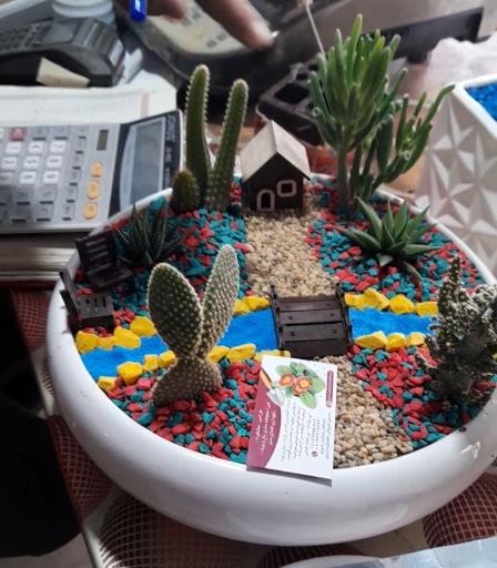 عکس گل و گیاه مهندس خبازی