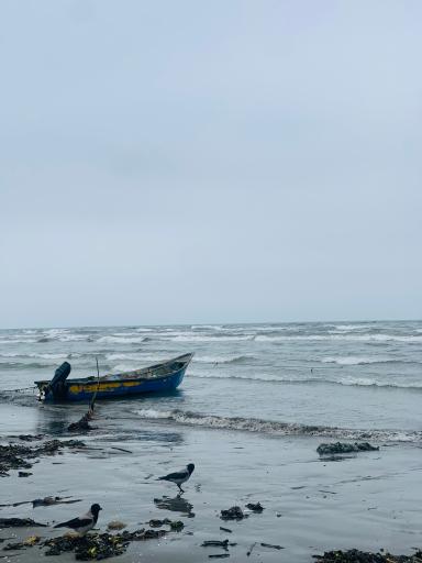 عکس پارک ساحلی پاسداران
