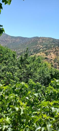 عکس برقرو