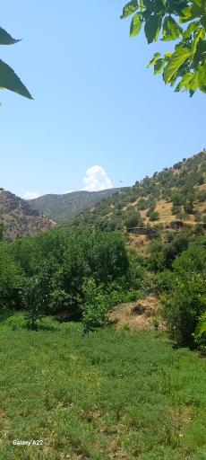 عکس برقرو