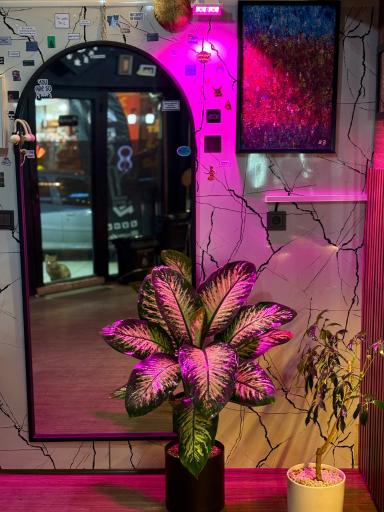 عکس کافه میم