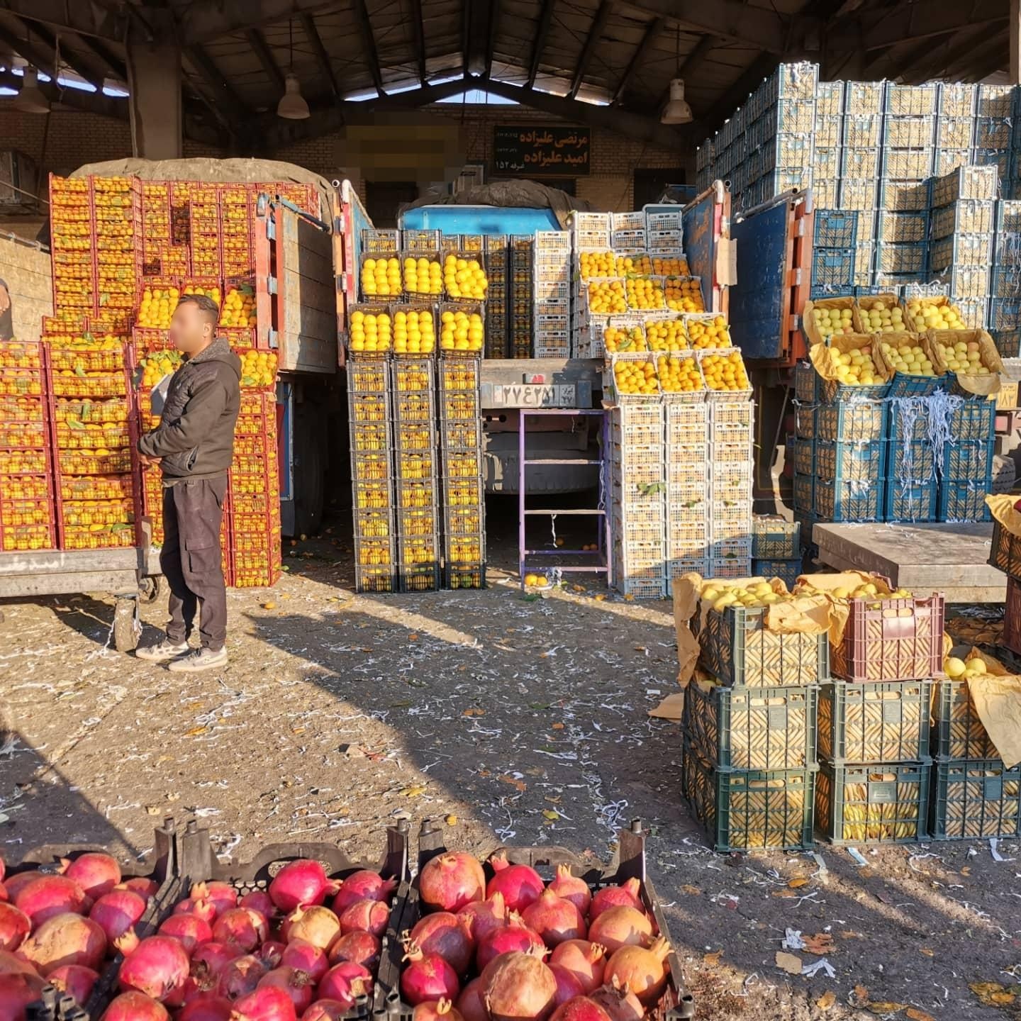 عکس غرفه 152 مرتضی علیزاده