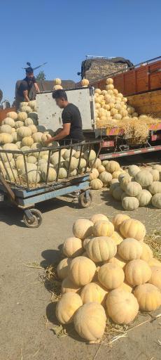 عکس بار فروشی عسکر قلی پور