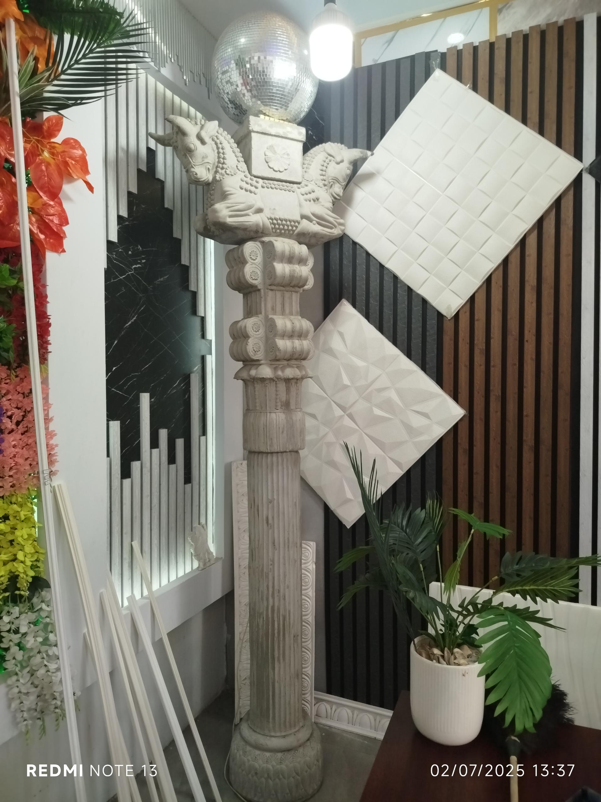 عکس نما آسا