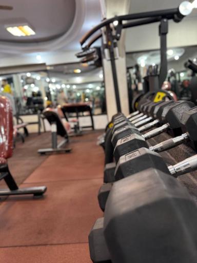 عکس باشگاه بدنسازی تندرست (مدیریت احسان سیفی)