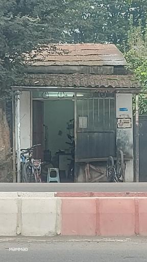 دوچرخه سازی شعبان