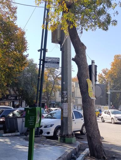 عکس دکتر علیرضا روزبیگی