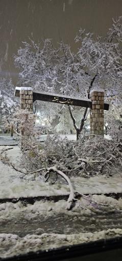 عکس بوستان بنفشه