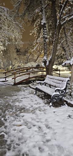 عکس بوستان بنفشه