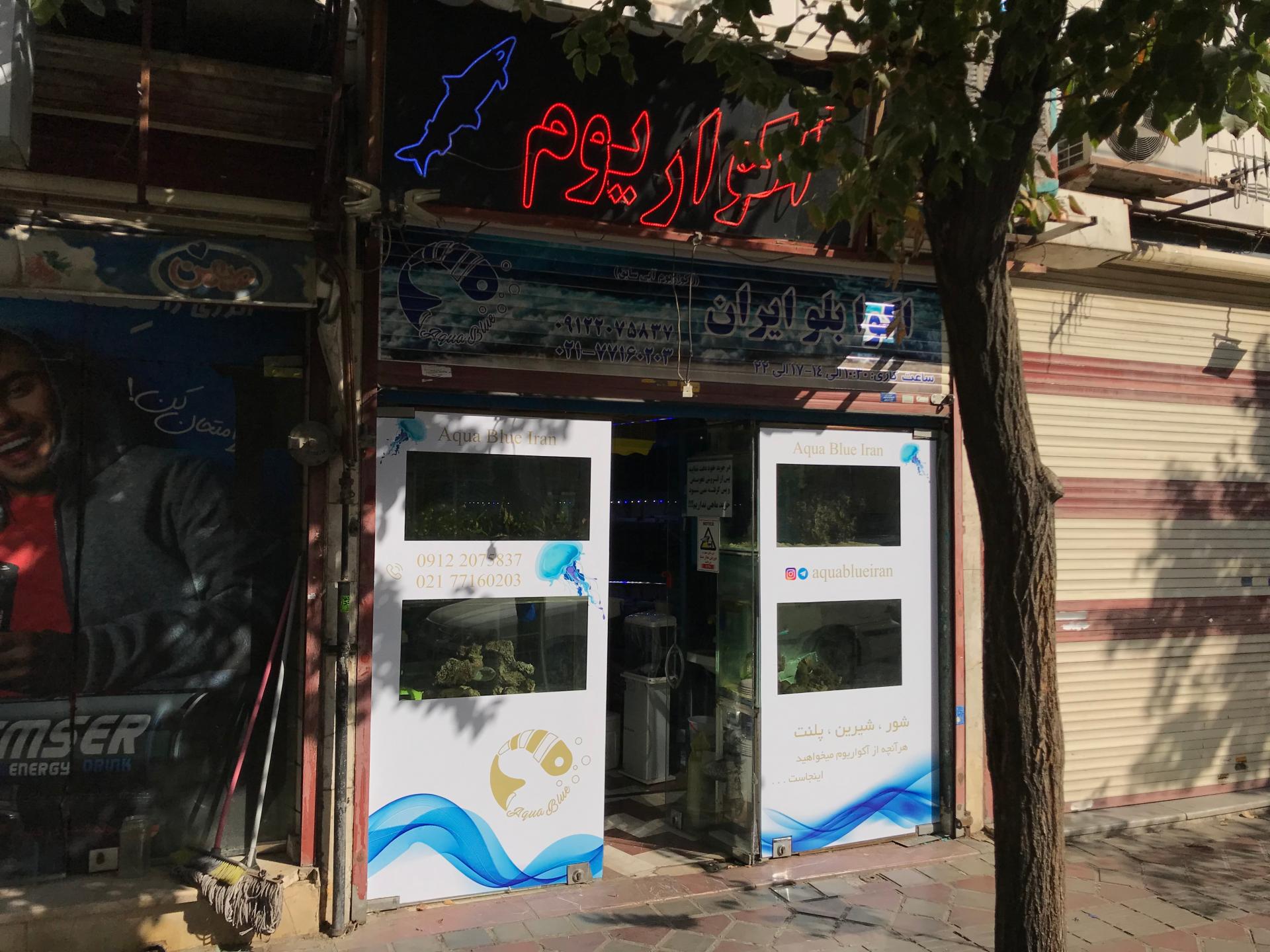 عکس آکواریوم آبی