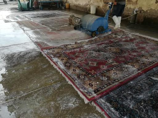 عکس قالی شویی مهدی