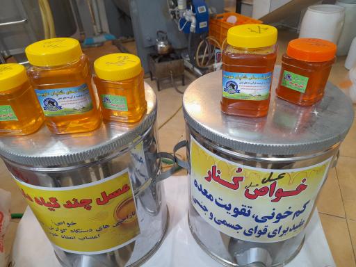 عکس لبنیات سنتی گلپای علویجه