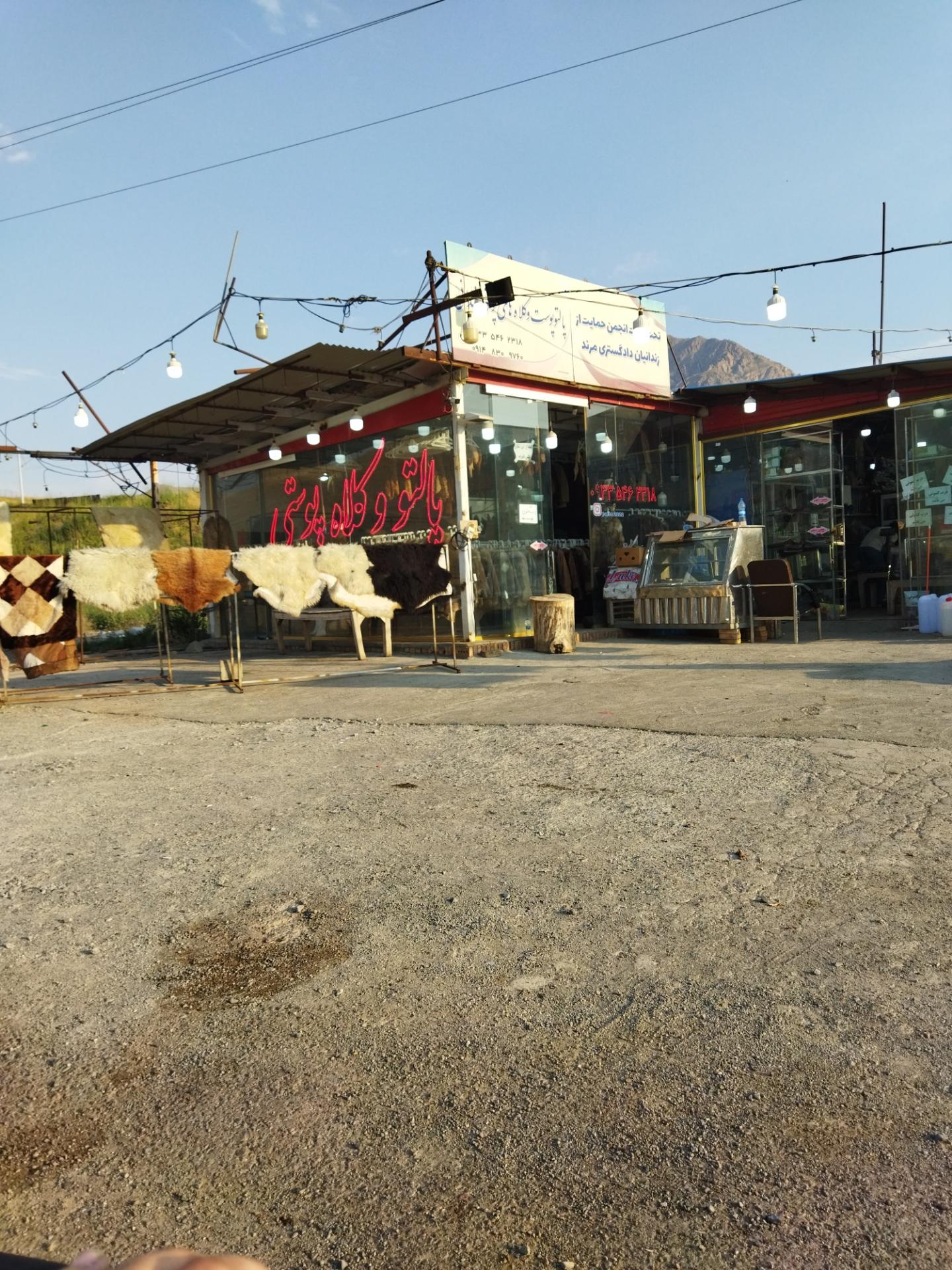 عکس پالتو و کلاه پوستی