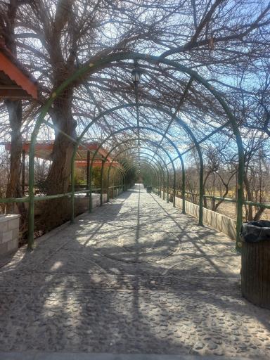 عکس رستوران مجموعه بوستان ولایت 