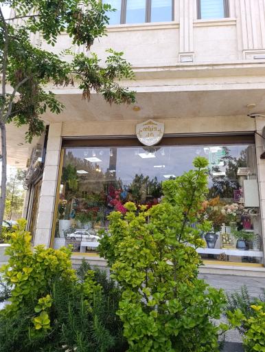 عکس دنیای گل