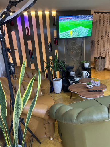 عکس سلمونی آلما