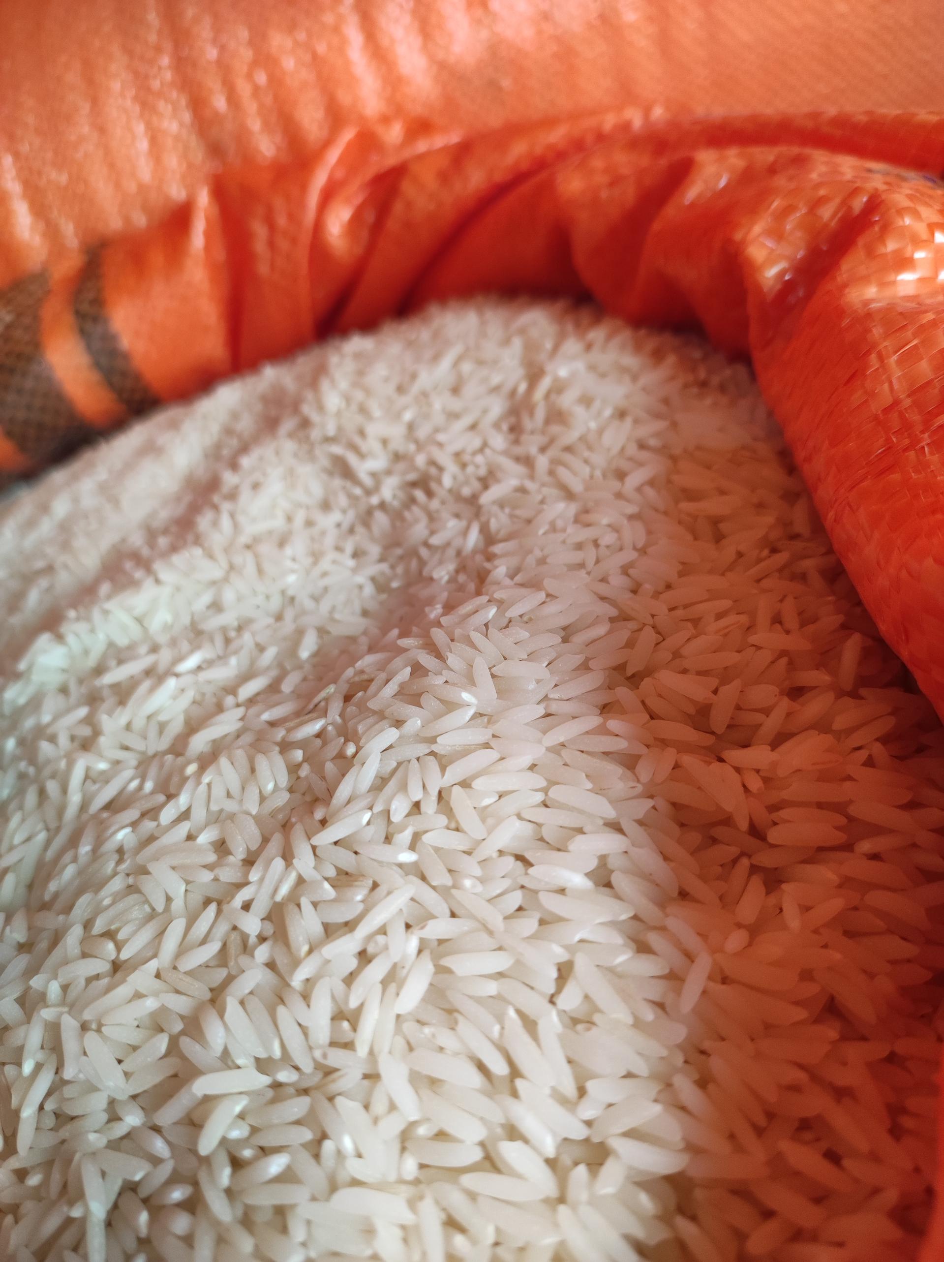 عکس برنج فروشی سیدی 