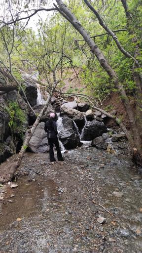 عکس بوستان گلابدره